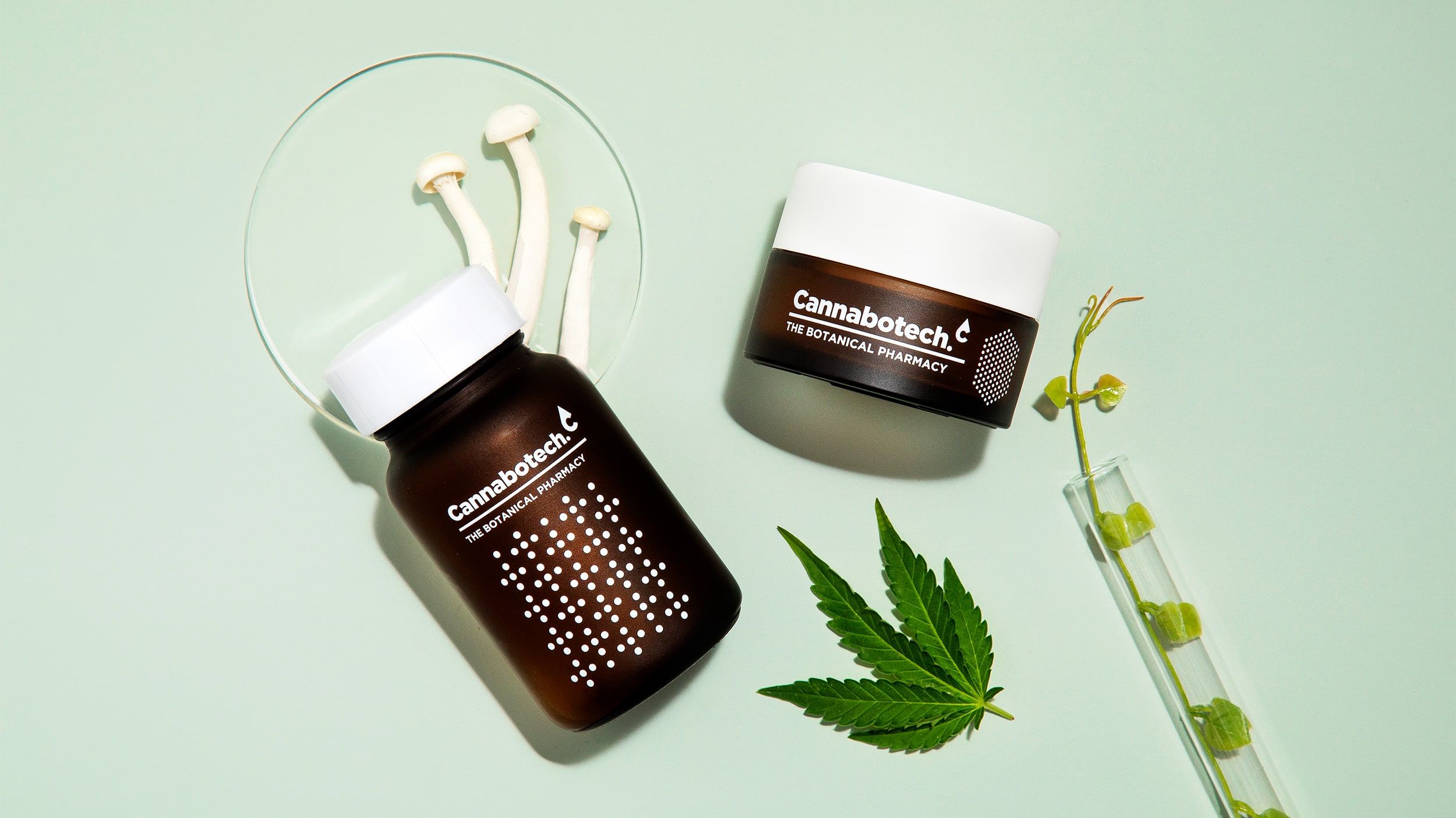 優質品牌植物護理產品包裝設計欣賞(圖3) 優質品牌植物護理產品包裝設計欣賞(圖3)