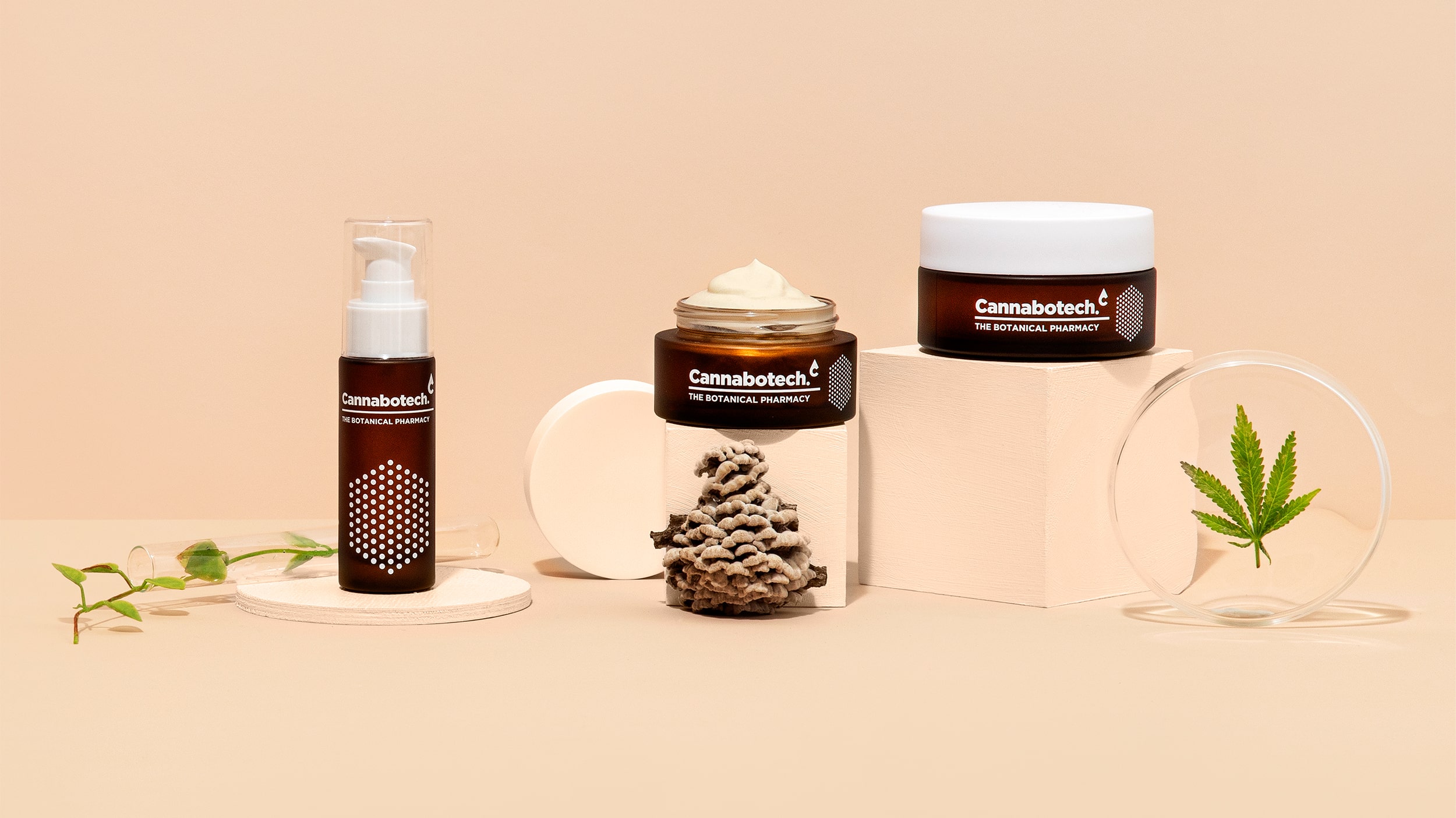 優質品牌植物護理產品包裝設計欣賞(圖4) 優質品牌植物護理產品包裝設計欣賞(圖4)