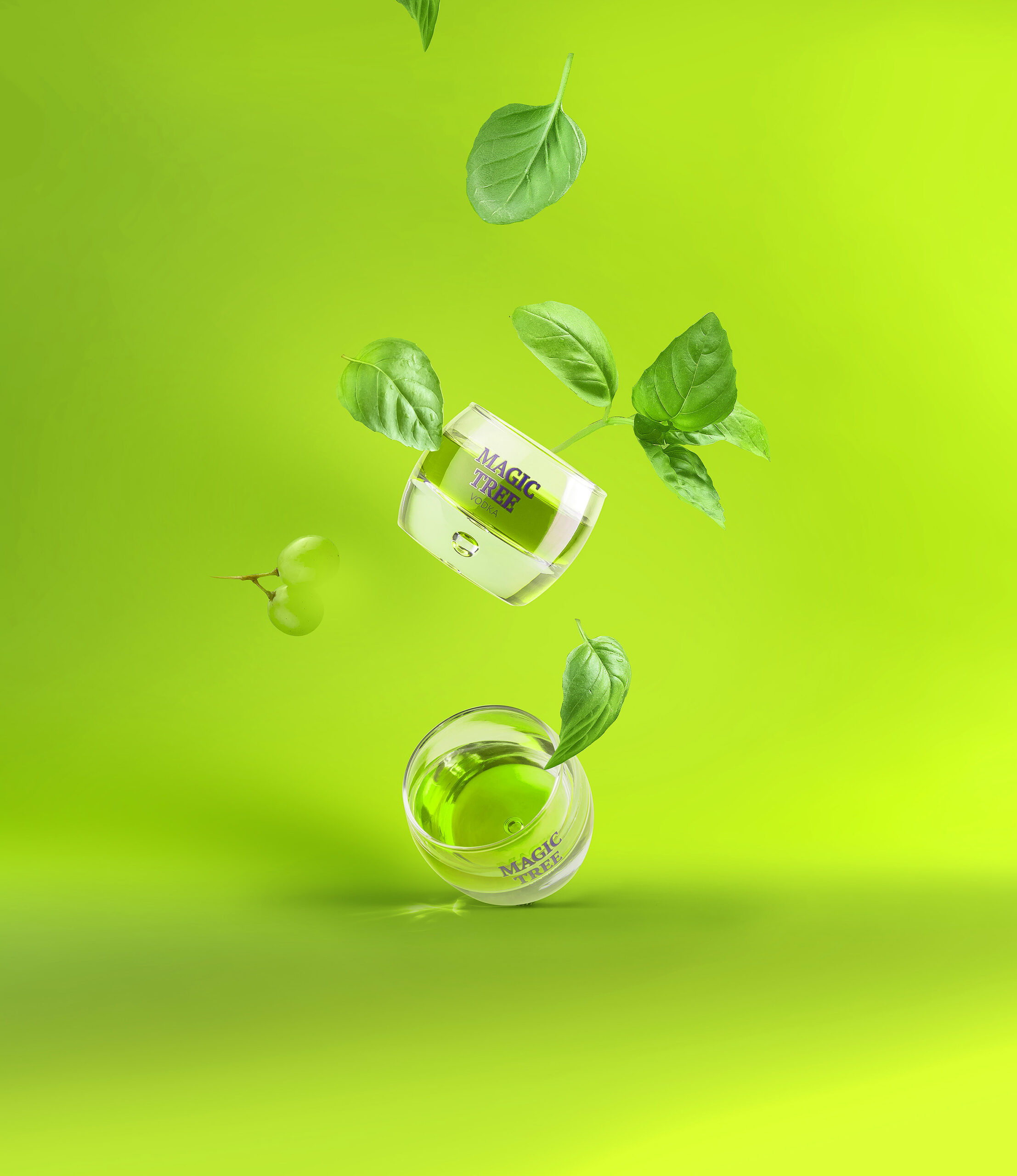 原始高貴的伏特加酒包裝設計欣賞(圖2)