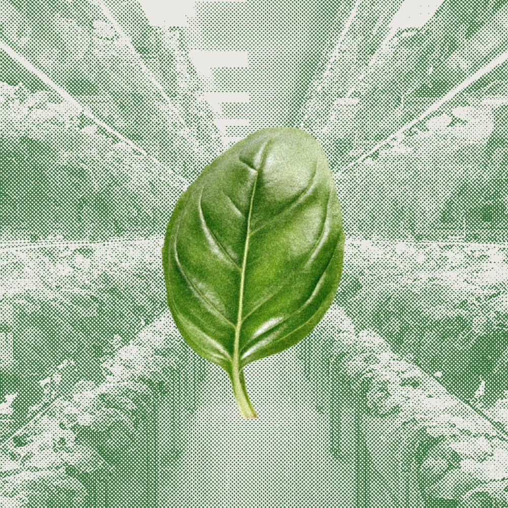 BAZ & CO 護膚品采用無限可回收材料的包裝設計(圖2)