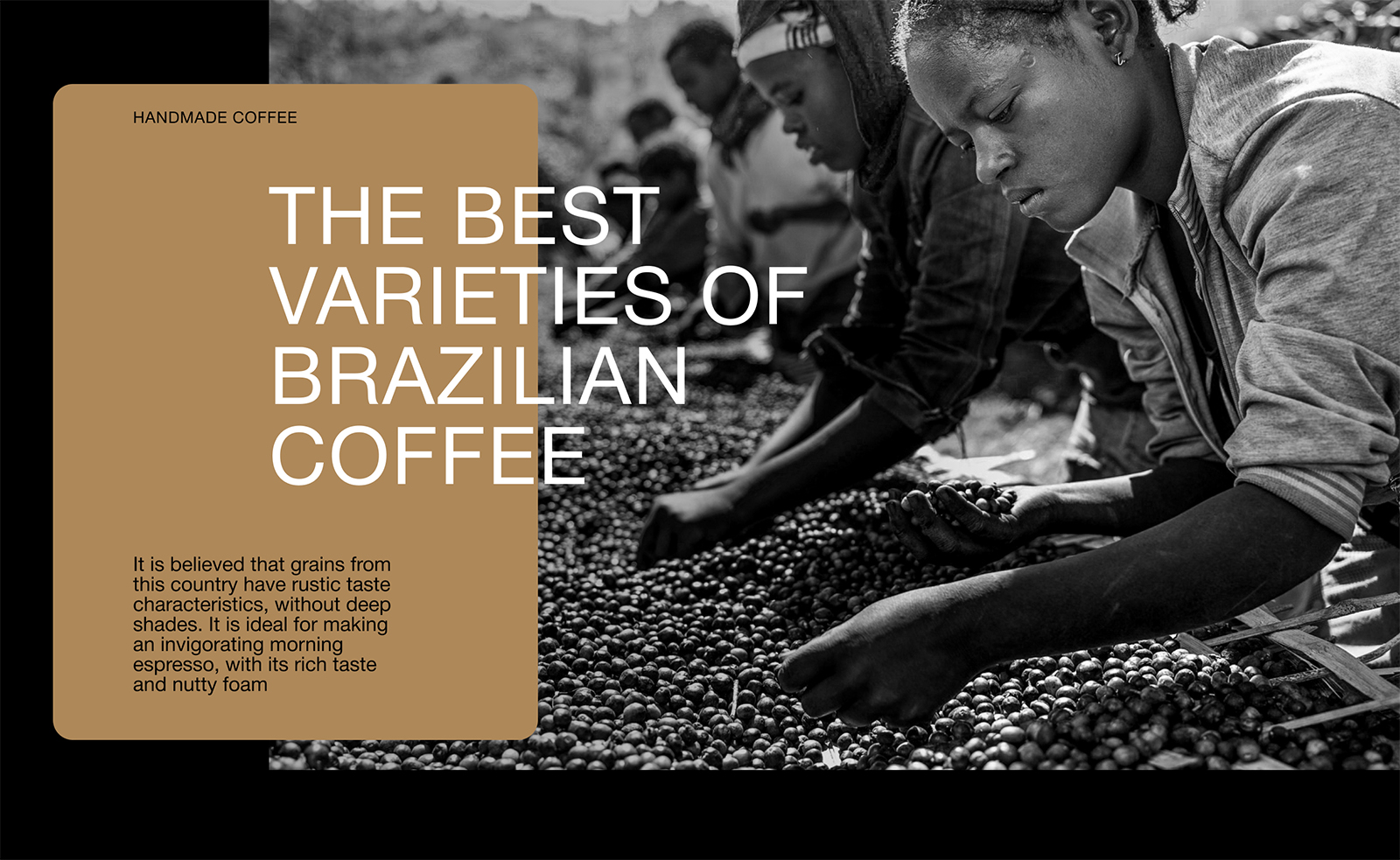 Tosside咖啡包裝設(shè)計作品參考(圖3)