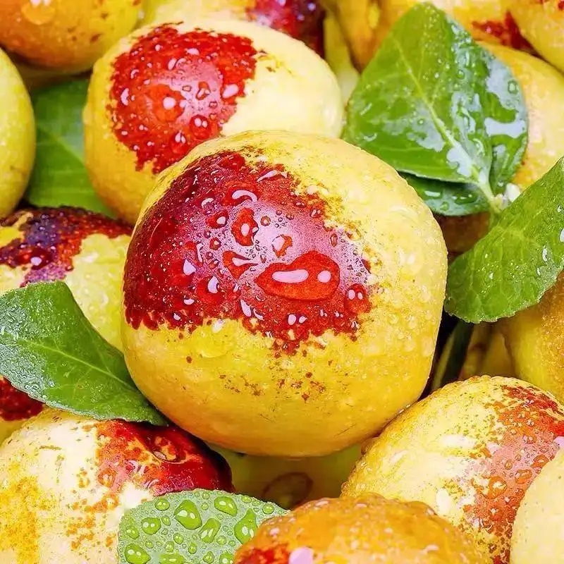 地方特產大荔冬棗包裝設計該怎么做(圖1)