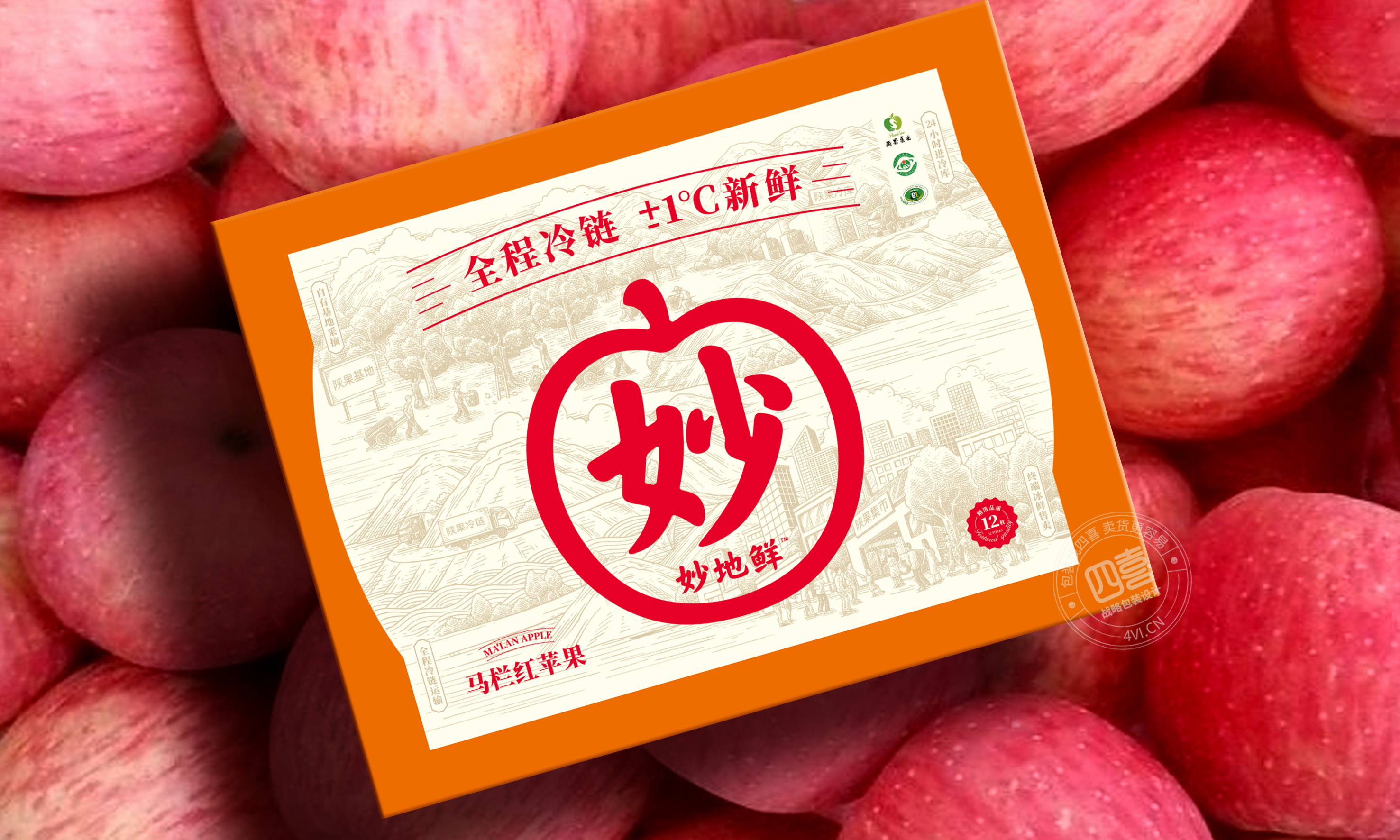 三亞水果特產芒果包裝設計(圖3)