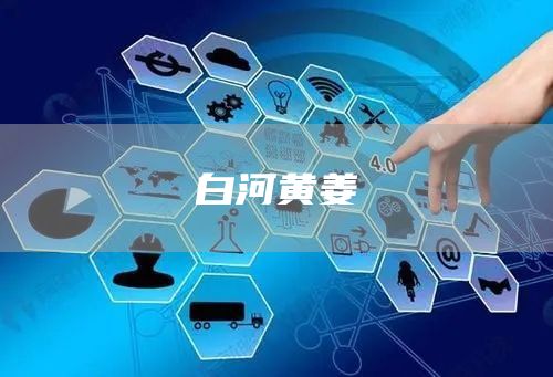 白河黃姜(圖1) 白河黃姜(圖1)