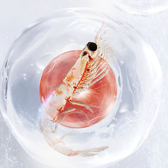 Schiff 旭福 MegaRed 500mg 磷蝦油 40粒保健產品包裝創意設計欣賞(圖5)