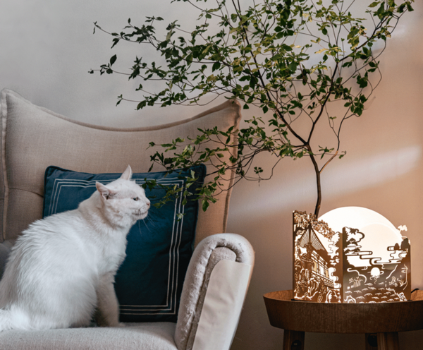 長安東市 “扶搖攬月”中秋禮盒（月餅+茶餅+香氛夜燈）包裝禮盒產(chǎn)品包裝創(chuàng)意設(shè)計欣賞(圖1)