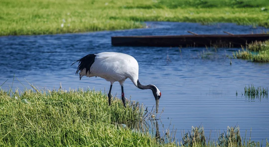 四喜:農(nóng)產(chǎn)品品牌很難做出差異?從產(chǎn)地入手發(fā)掘根本差異!(圖2) 四喜:農(nóng)產(chǎn)品品牌很難做出差異?從產(chǎn)地入手發(fā)掘根本差異!(圖2)