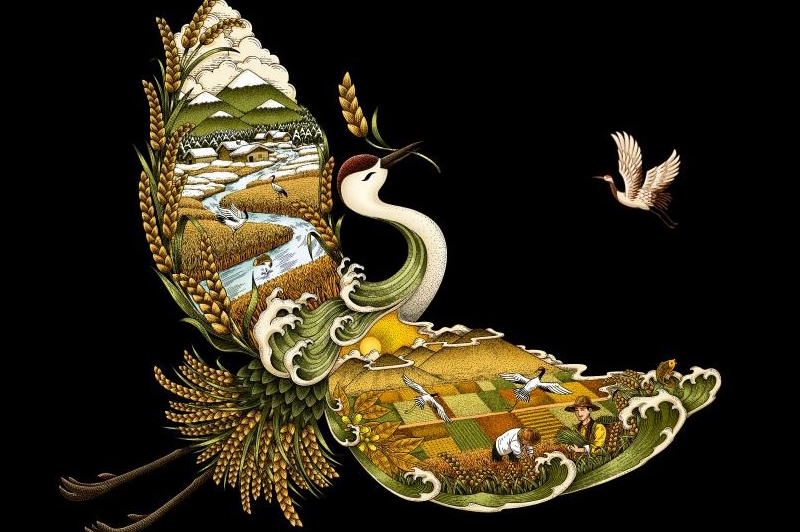 四喜如何通過包裝設計，讓金鶴黑珍珠大米彰顯高端定位