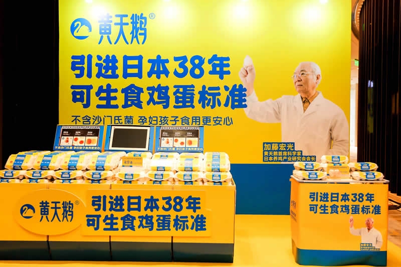 黃天鵝可生食雞蛋&大師小點(diǎn)蛋撻品牌包裝全案設(shè)計(jì)