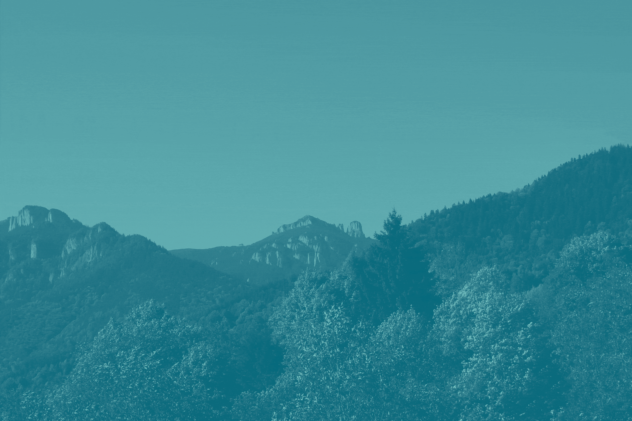 山脈樹的年輪概念的酒包裝設計(圖4)