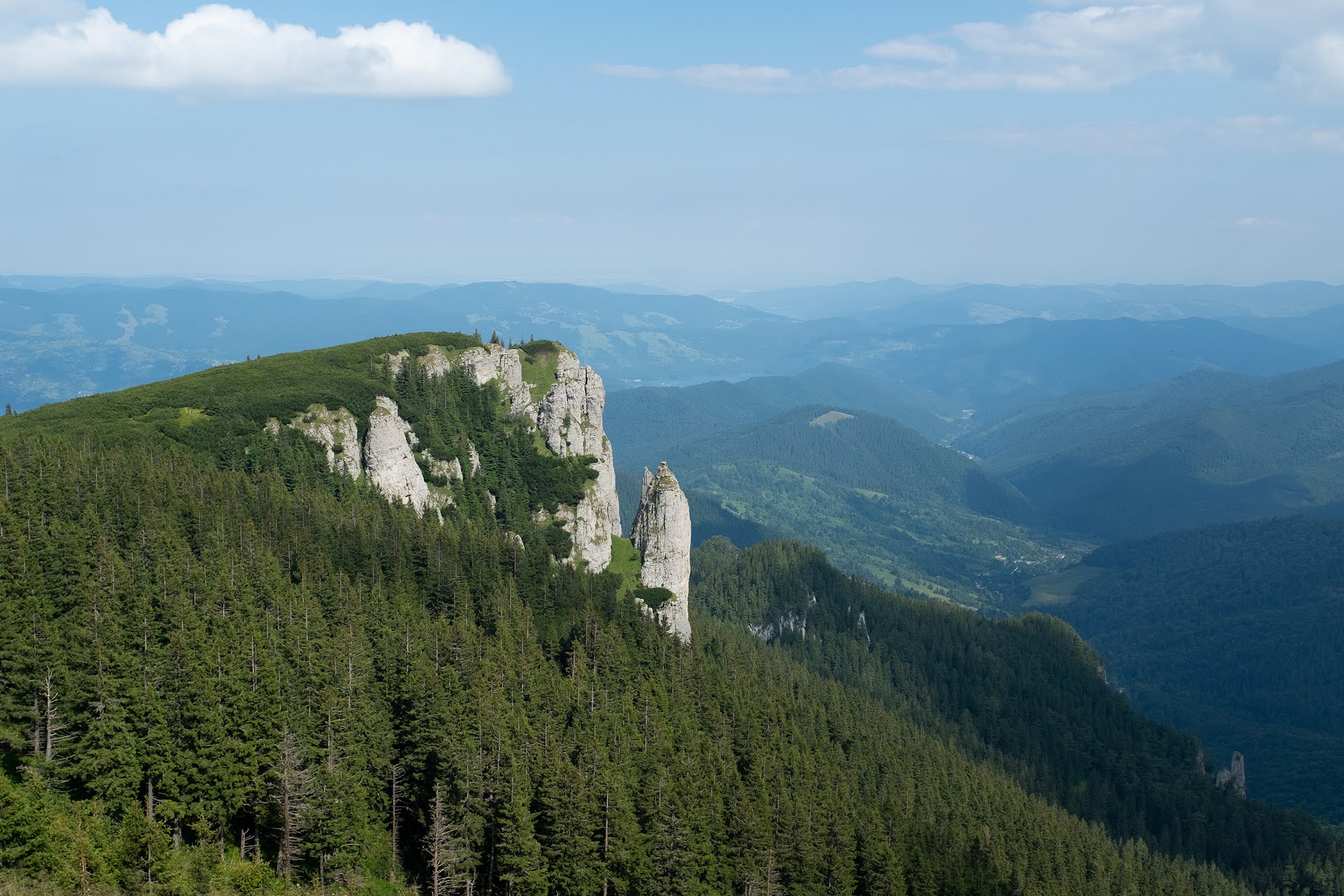 山脈樹的年輪概念的酒包裝設計(圖14)