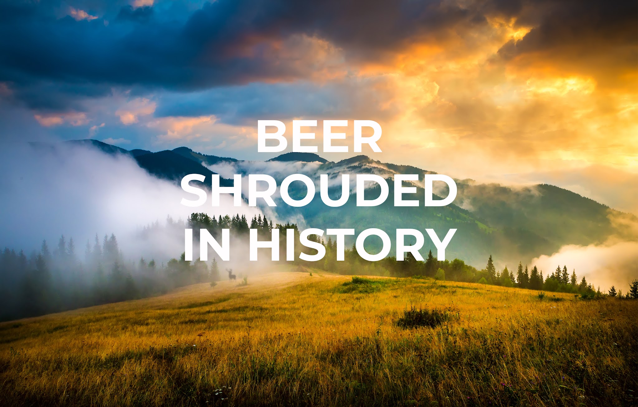 系列淡啤酒包裝設計(圖1)