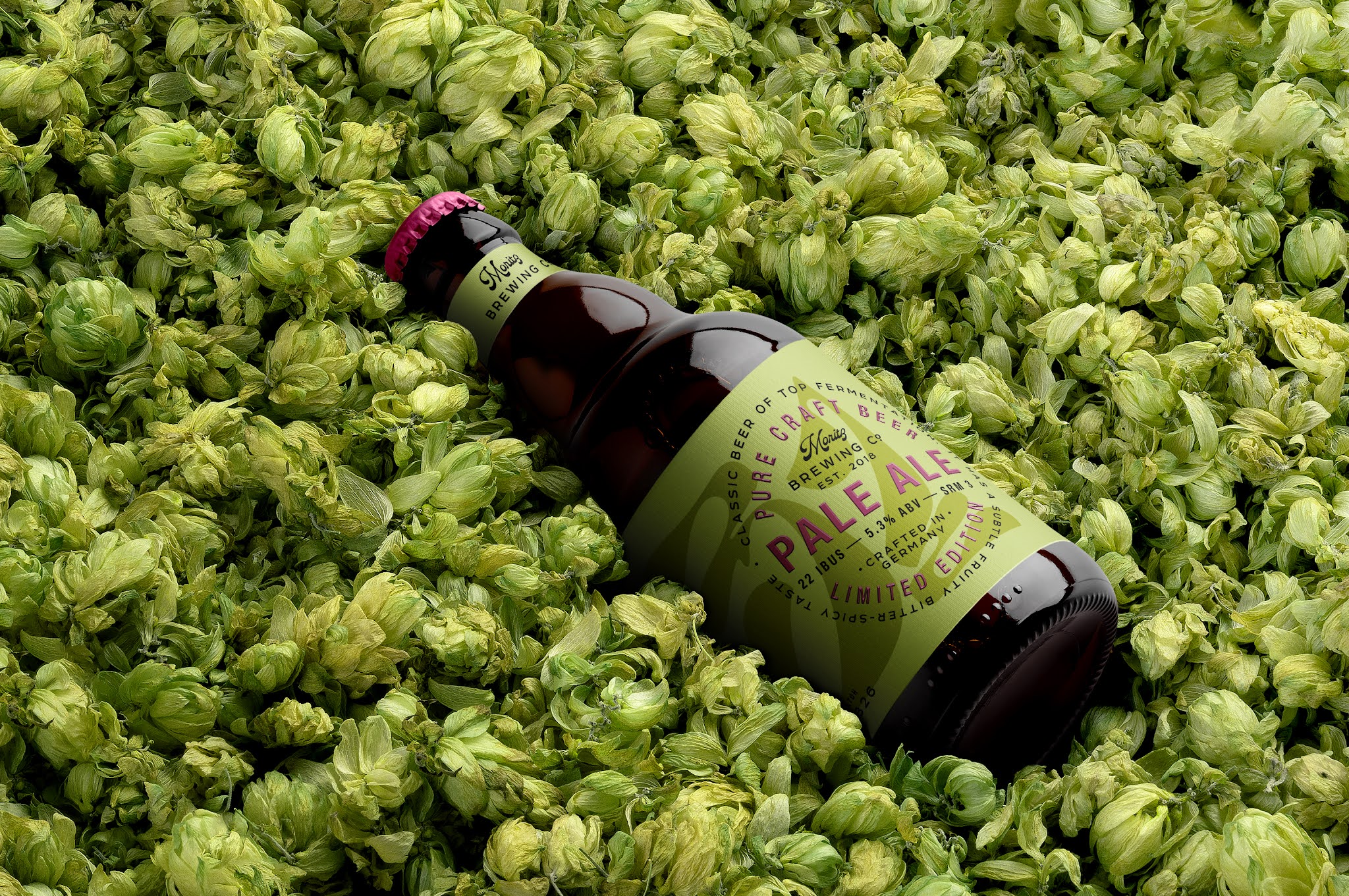 系列淡啤酒包裝設計(圖7)