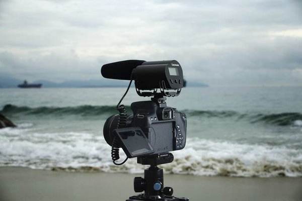 楓笛品牌logo設(shè)計(jì)欣賞與分析(圖1) 楓笛品牌logo設(shè)計(jì)欣賞與分析(圖1)