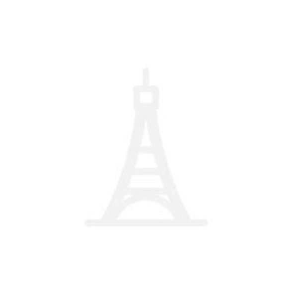 竹林鳥品牌logo設計欣賞與分析(圖1)