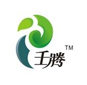 壬騰品牌logo設(shè)計欣賞與分析(圖1) 壬騰品牌logo設(shè)計欣賞與分析(圖1)