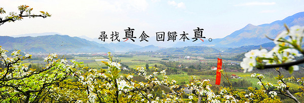 真食約定品牌故事-logo設(shè)計分析(圖2)