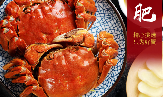 谷源道品牌logo與食品包裝設(shè)計欣賞(圖4)