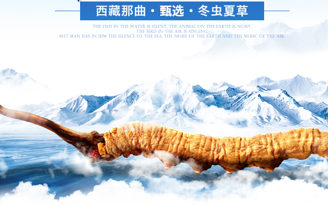 隴萃堂品牌logo與食品包裝設計欣賞(圖2)