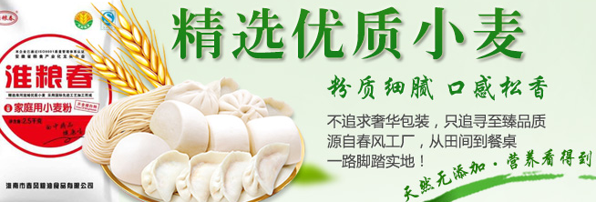 淮糧春品牌logo與食品包裝設(shè)計(jì)欣賞(圖4)