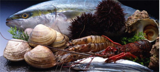 宇輝品牌logo與食品包裝設計欣賞(圖2)