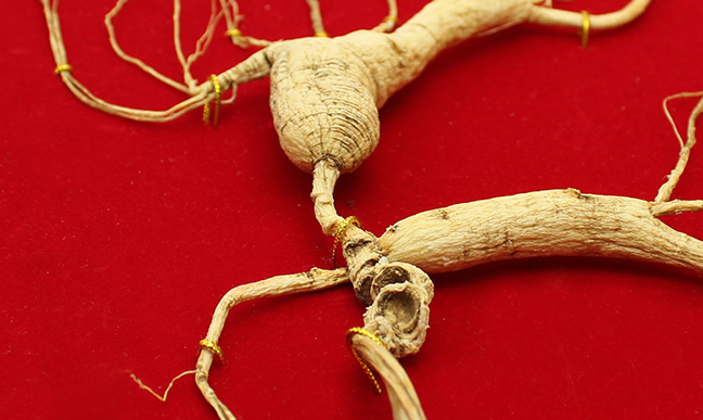 金立華品牌logo與食品包裝設計欣賞(圖4)