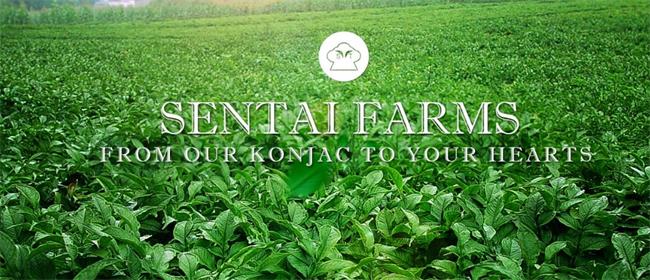 森態食品包裝設計欣賞(圖2)