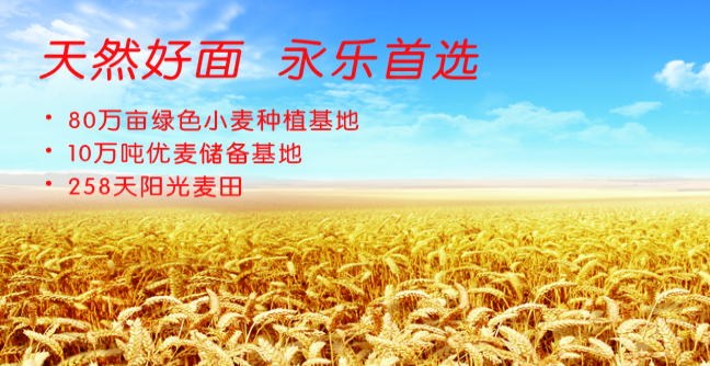 永樂食品包裝設(shè)計欣賞(圖3)