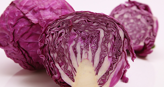 嘉仕有機食品包裝設計欣賞(圖3)