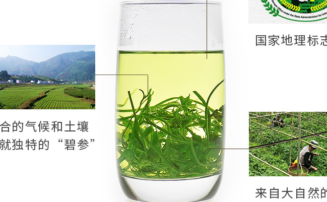 碧參食品包裝設計欣賞(圖3)