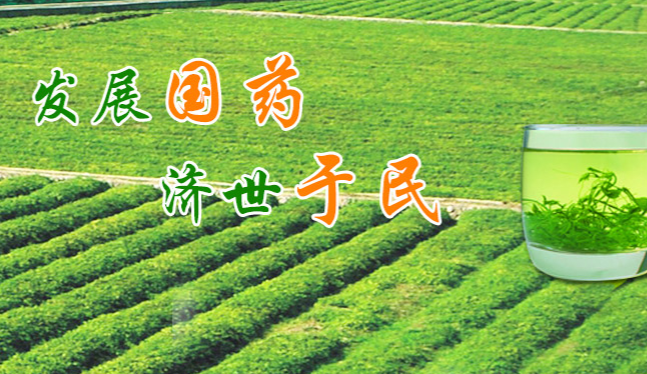 碧參食品包裝設計欣賞(圖4)