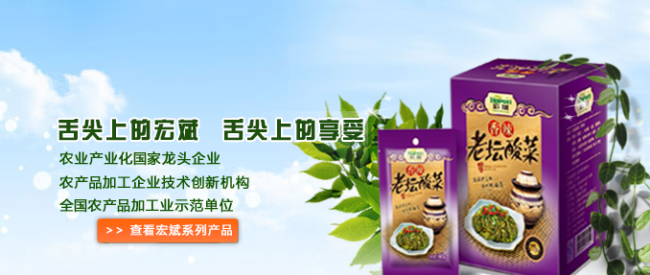 Hopen宏斌食品包裝設計欣賞(圖4)