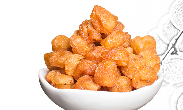 桂康食品包裝設(shè)計欣賞(圖3)