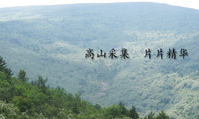 YAOWANGTEA藥王茶食品包裝設計欣賞(圖4)