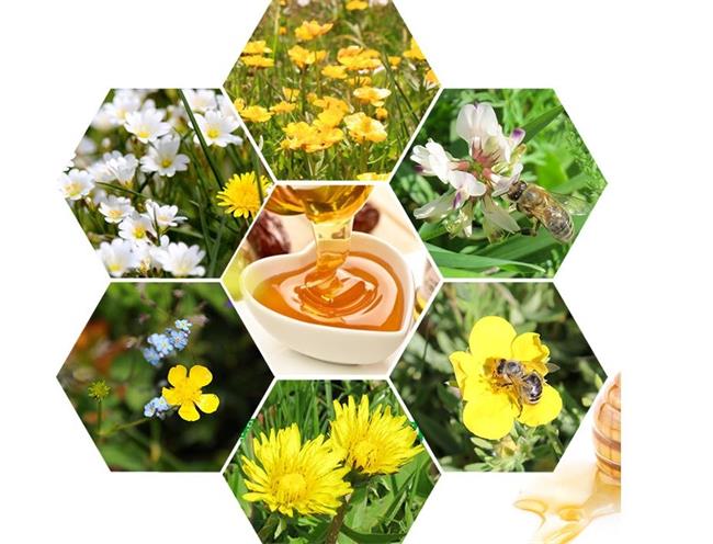 BAIXIN百信食品包裝設計欣賞(圖3)