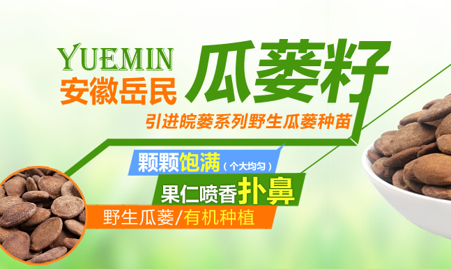 岳民 YUEMIN岳民食品包裝設(shè)計(jì)欣賞(圖3)