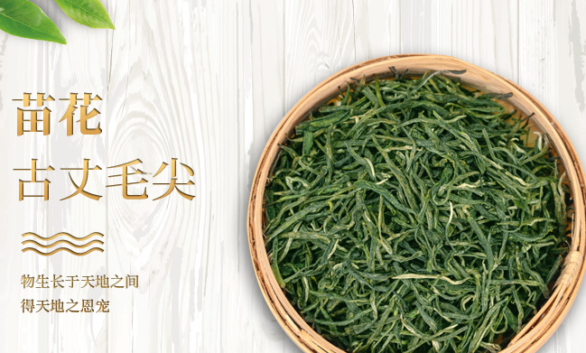 古丈毛尖 古丈毛尖食品包裝設計欣賞(圖2)