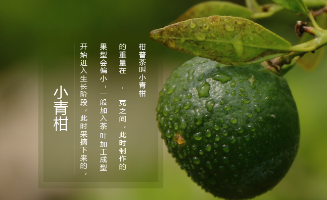 柑普人家食品包裝設計欣賞(圖2)