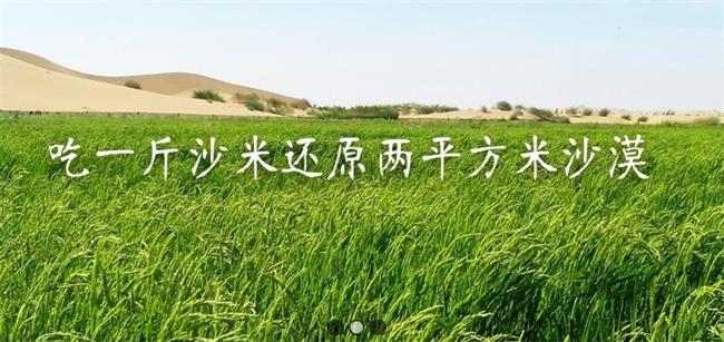 沙米食品包裝設計欣賞(圖3)