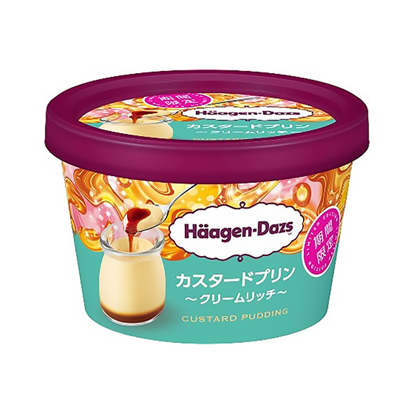 包裝設計公司推薦哈根達斯迷你杯蛋奶布丁奶油里奇包裝設計欣賞(圖1)