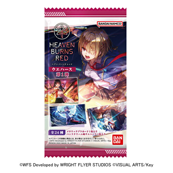 海文·伯恩斯·雷德韋豪斯第彈萬代包裝設計(圖1)